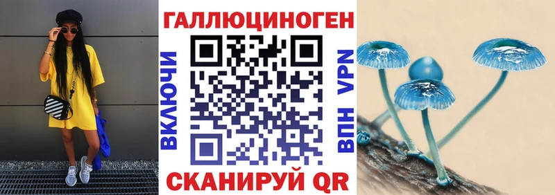 Псилоцибиновые грибы Psilocybe  Чухлома 