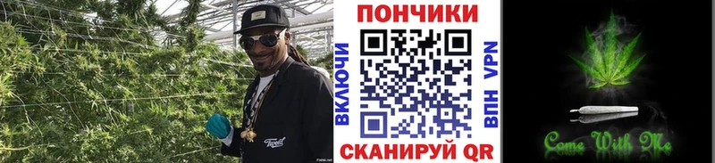Конопля планчик  Чухлома 